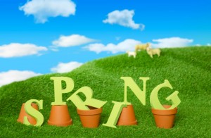 Schedule a chimney sweeping and inspection as part of your spring cleaning!